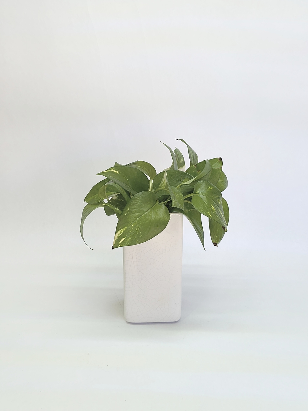 VINTAGE White Square Ceramic Planter Crackle Glaze 6.5 In Plant Not Included